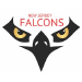 New Jersey Falcons